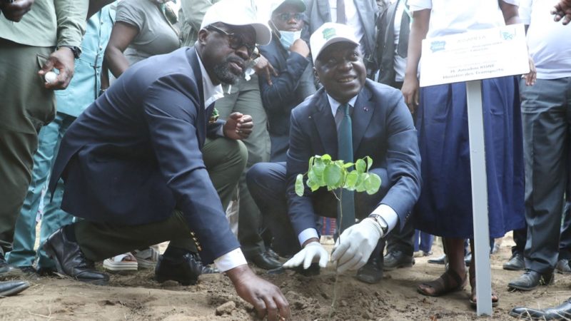 Déforestation en Côte d’Ivoire/La lutte connaît un franc succès ces dernières années